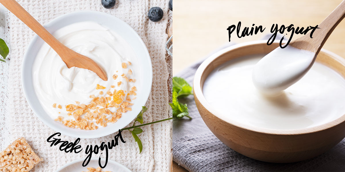 greek yogurt vs ordinary yogurt 